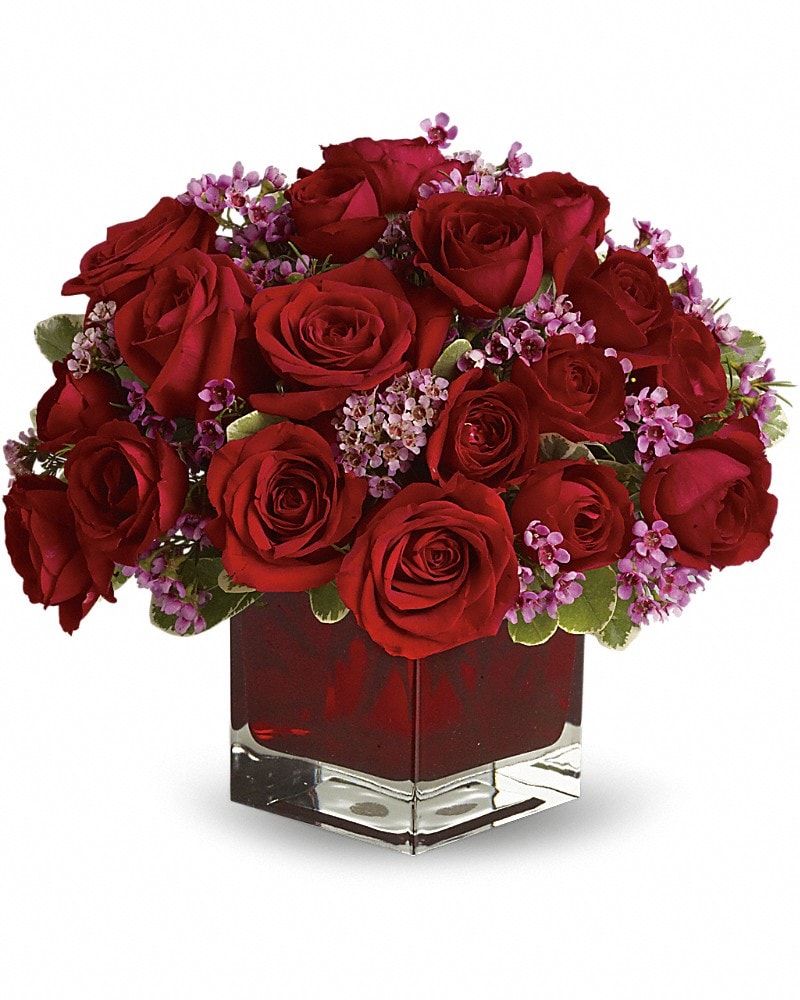 Two Dozen Red Roses