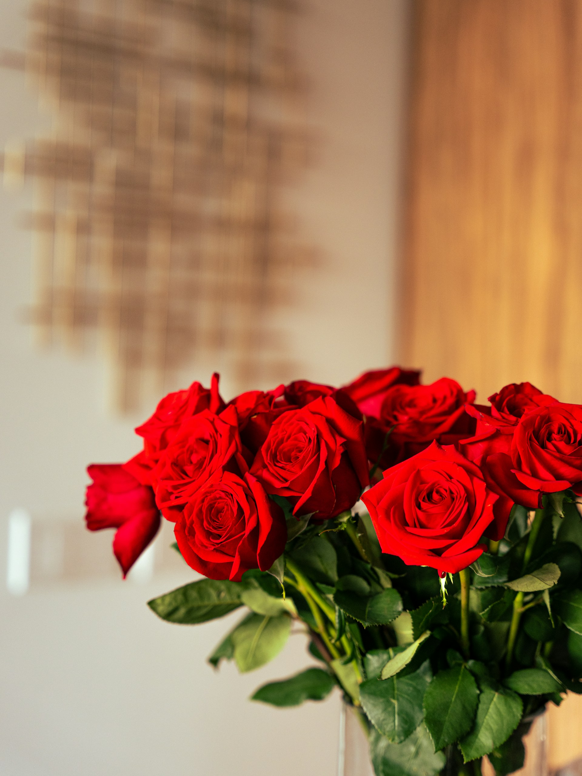 Three Dozen Roses