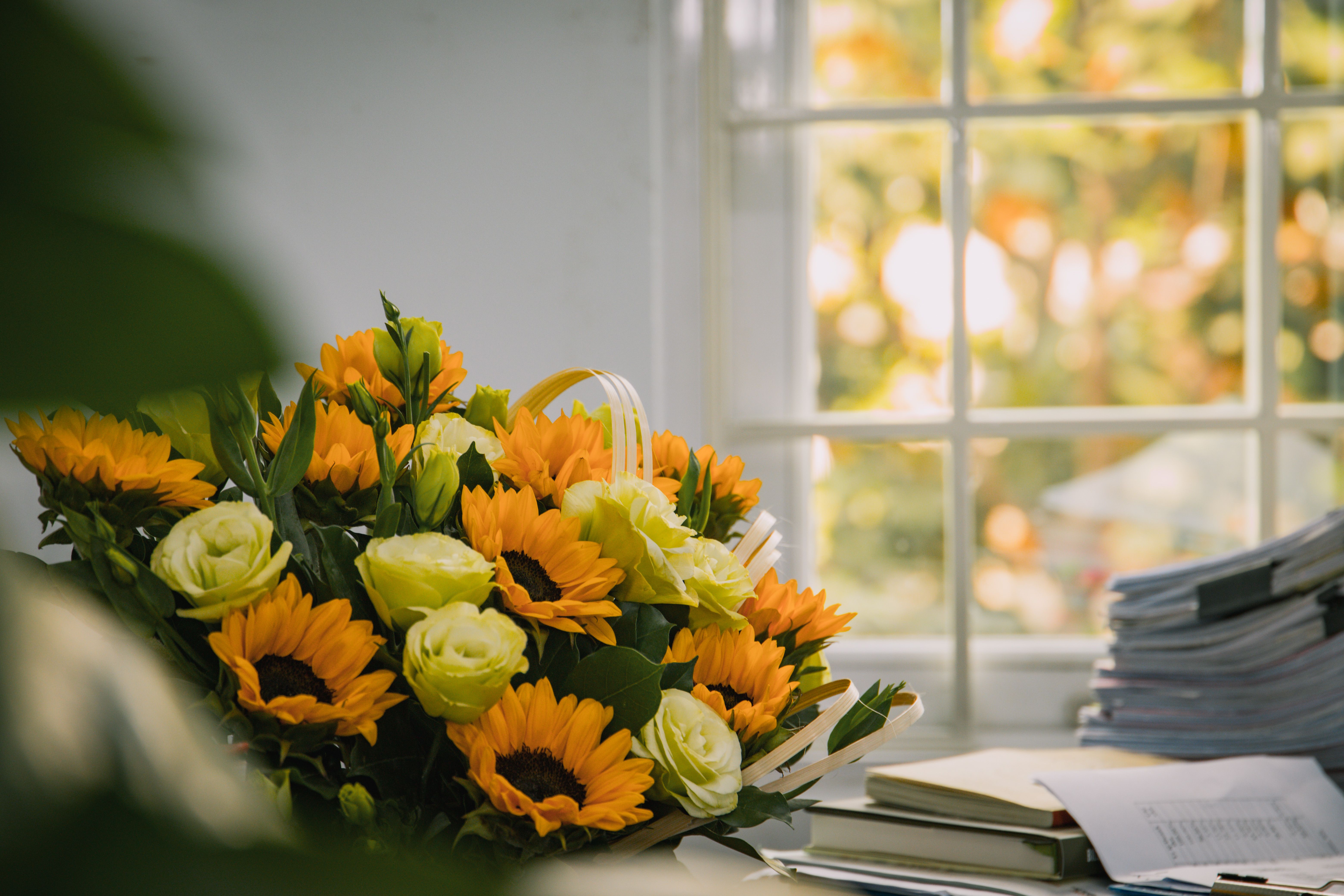 Weekly Office Blooms